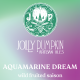 Jolly Pumpkin Aquamarine Dream